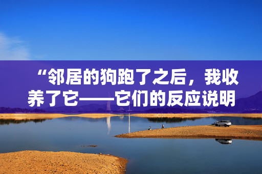 “邻居的狗跑了之后，我收养了它——它们的反应说明了一切。”