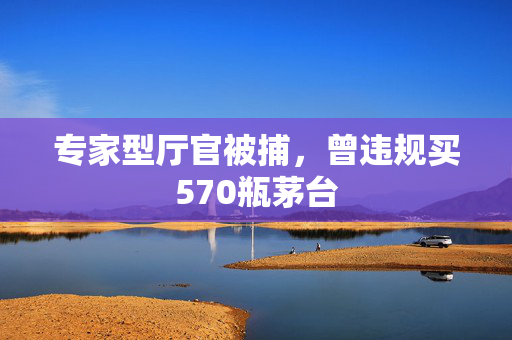 专家型厅官被捕，曾违规买570瓶茅台