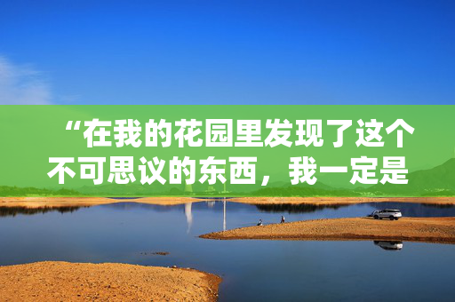 “在我的花园里发现了这个不可思议的东西，我一定是英国最幸运的人了。”