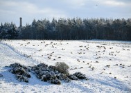 英国降雪地图显示，从纽卡斯尔到伦敦的英国人在几天内将面临7厘米的降雪